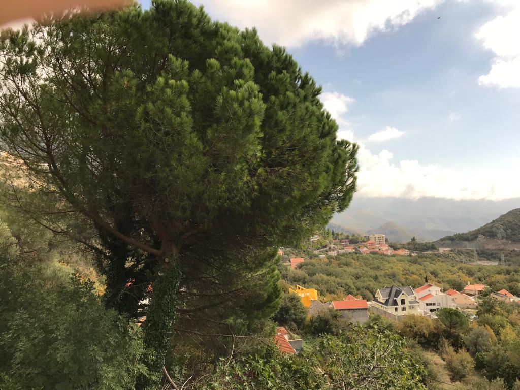 Image of Plot for Sale in Budva-Markovici-Montenegro, Image 7
